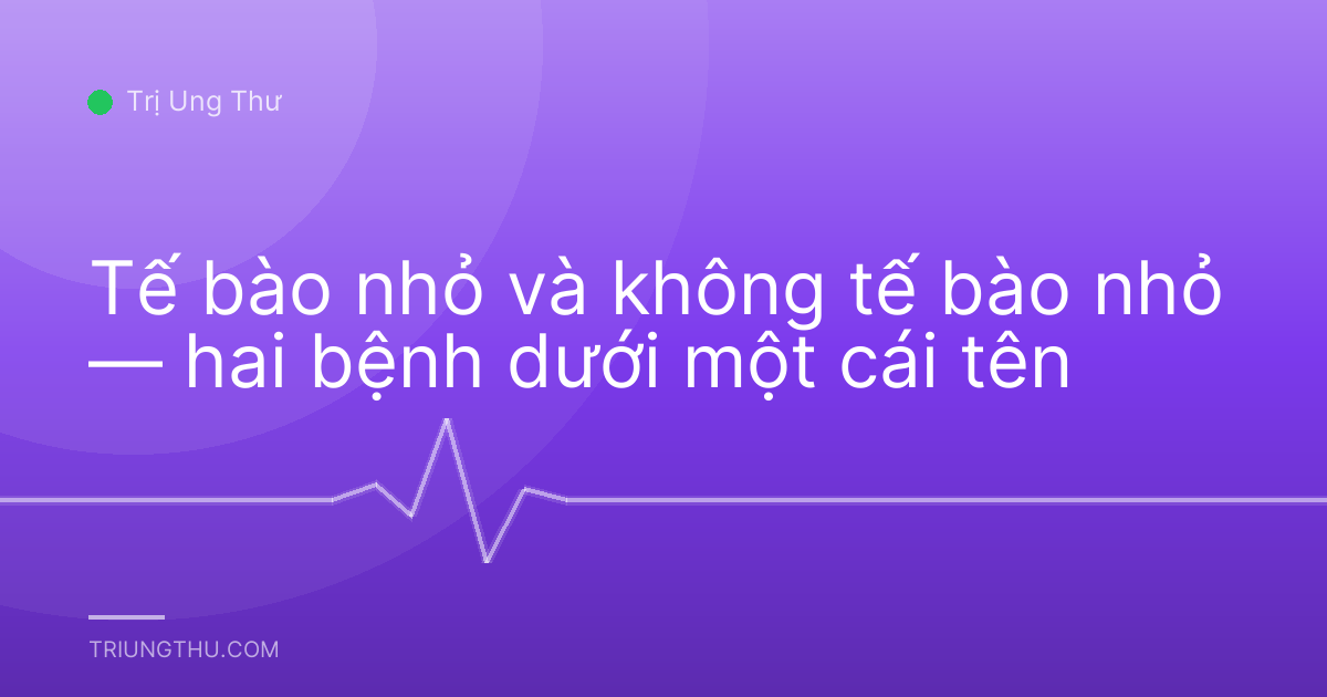 Tế bào nhỏ và không tế bào nhỏ — hai bệnh dưới một cái tên